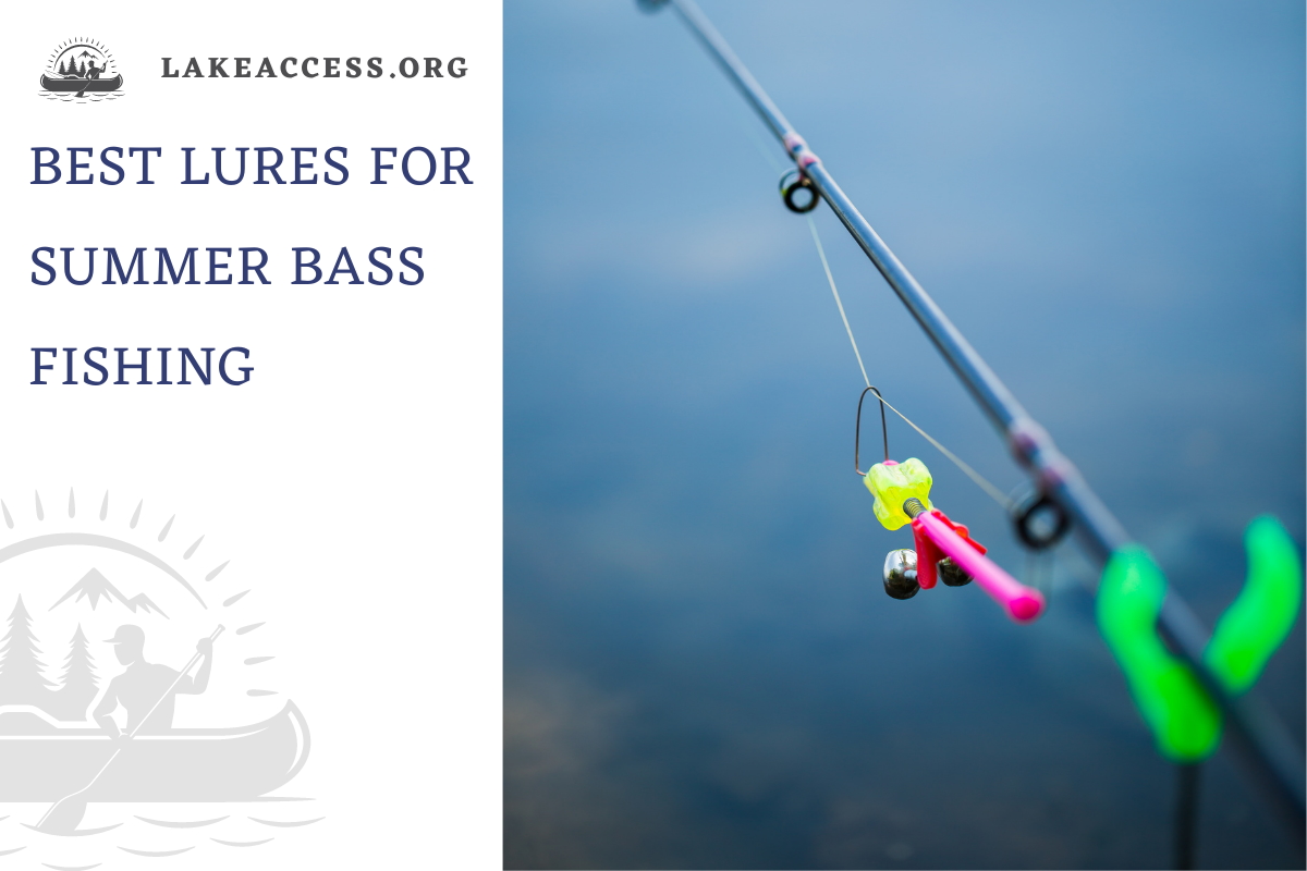 Best Lure for Summer Bass Summarized in a Single Look