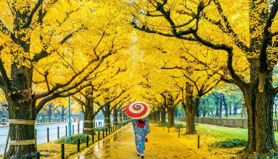 When is the Best Time to Visit Vietnam: Month by Month Guide - This ...