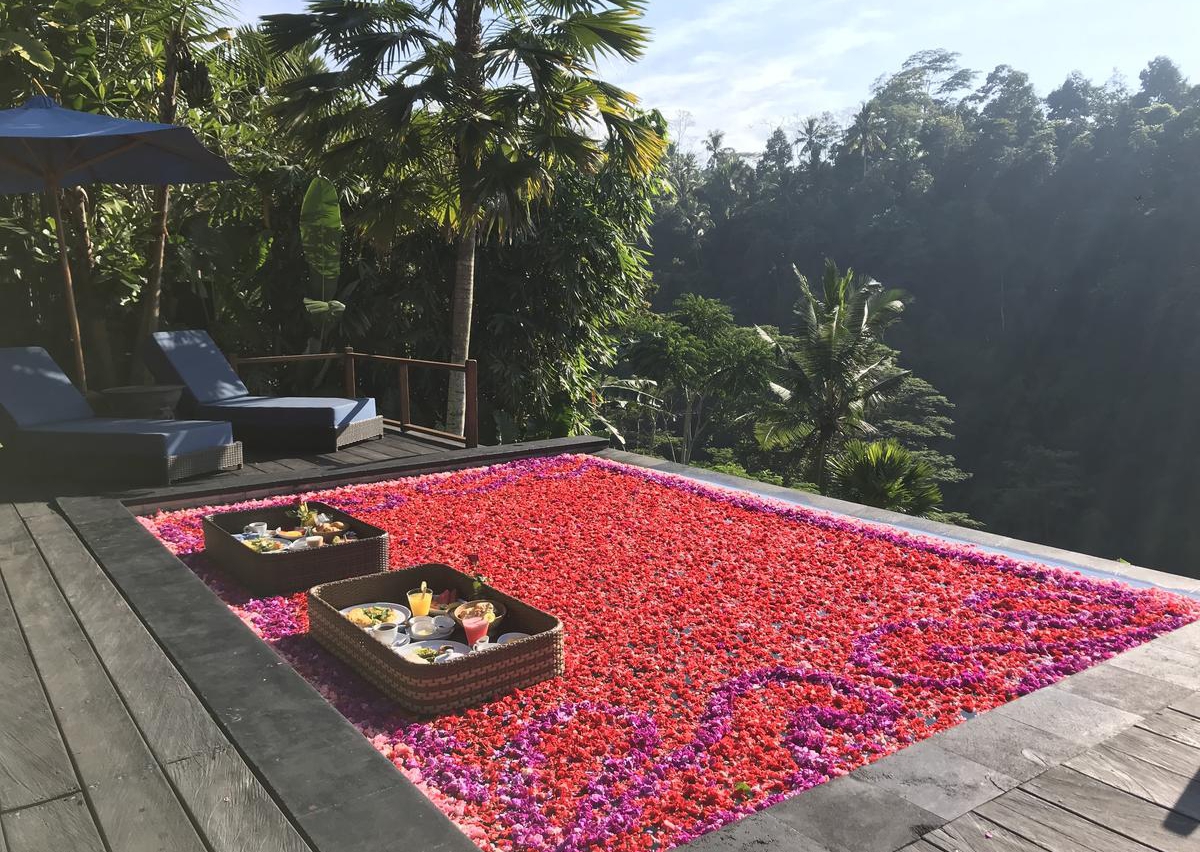 Best Hotels in Ubud Bali Options