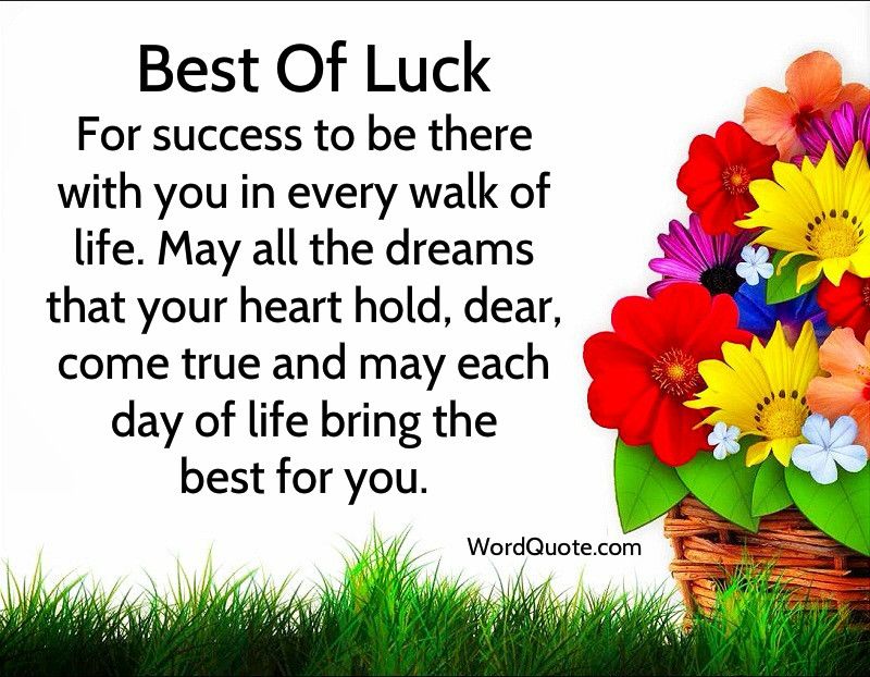 Best of Luck Wishes
