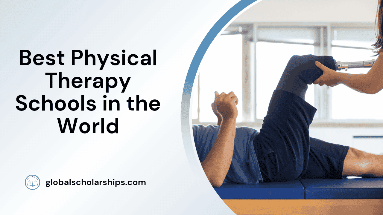 Best Physical Therapy Schools A Comprehensive Guide to Top Programs