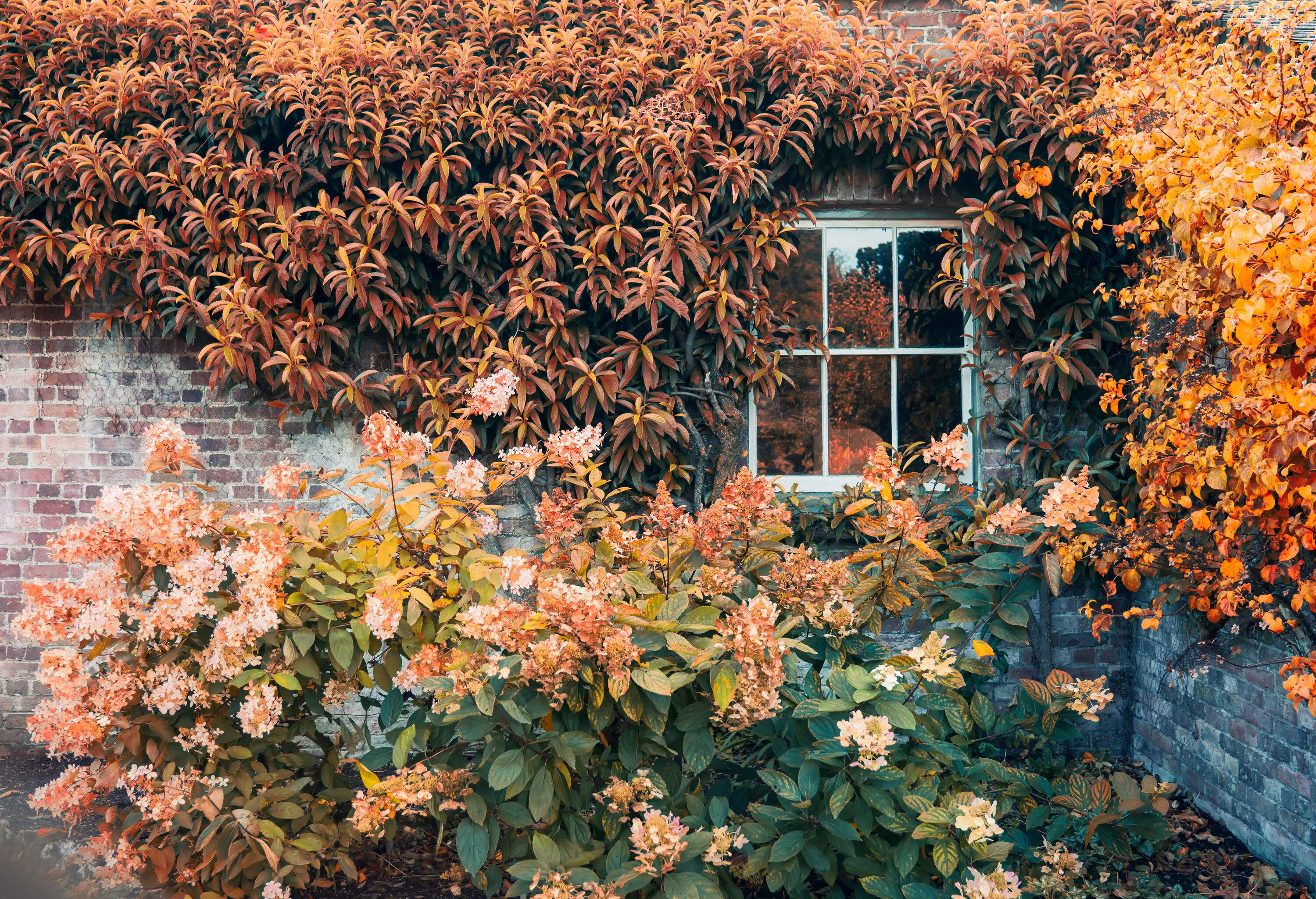 14 Best Places to Visit in October (USA + International) 14 Best Places to Visit in October (USA + International)