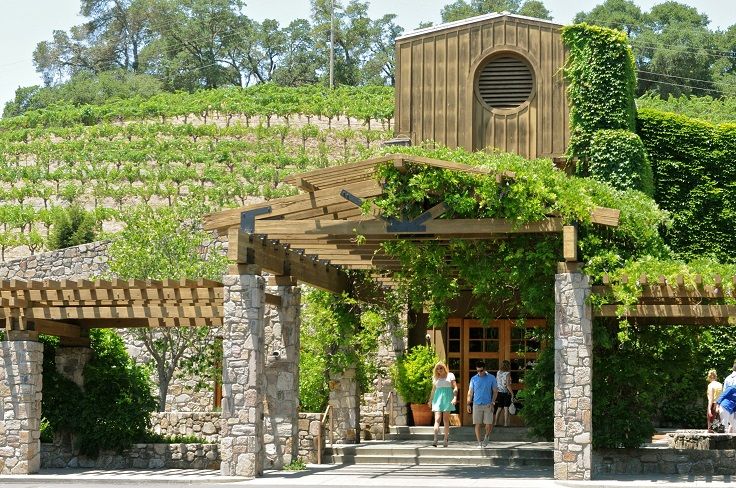 Best Napa Vineyards to Visit Napa Valley Vineyards with Scenic Views and Tours