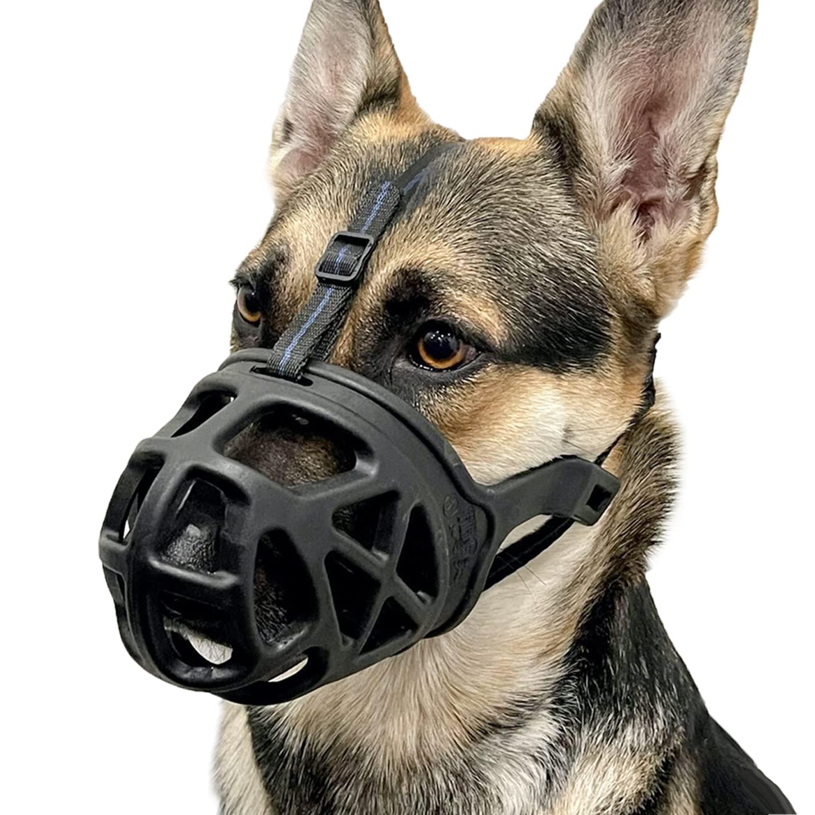 Best Muzzle for Dogs to Ensure Your Pets Safety and Comfort