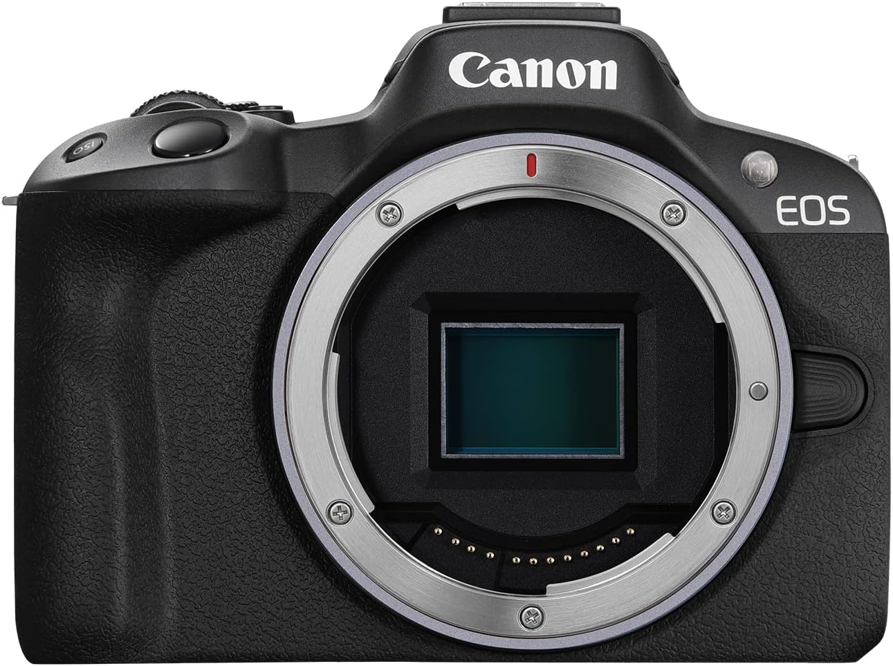 Best Budget Mirrorless Cameras for Photography Enthusiasts