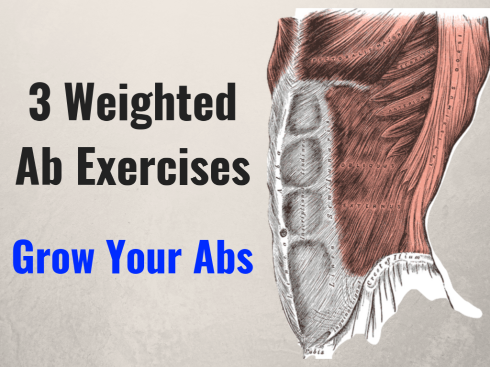 5 BEST Weighted Ab Exercises (Video) | Nourish Move Love | Abs workout ... Best weighted ab exercises