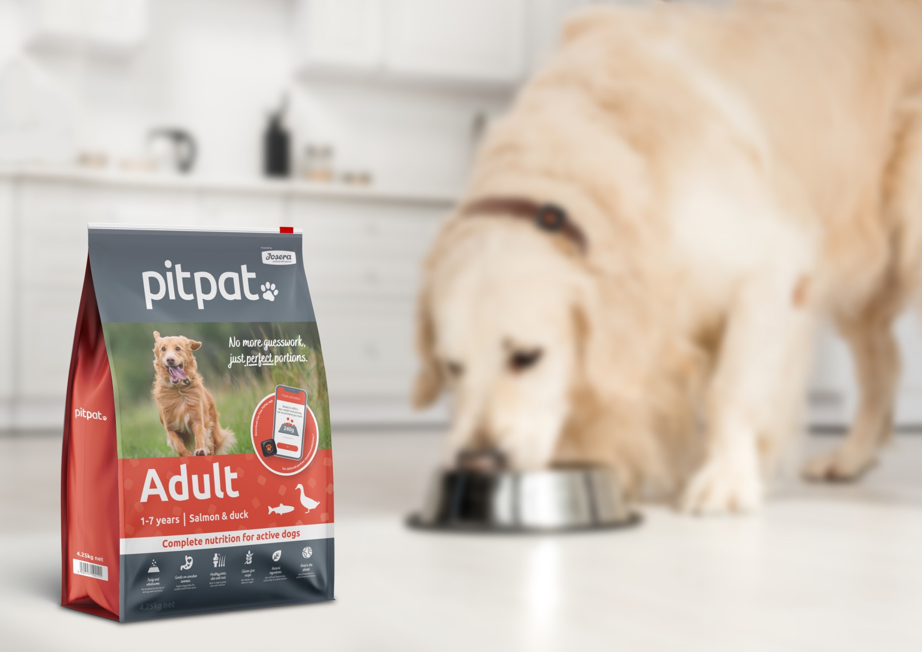 Best Dog Food for Pits Suits Your Best Friends Dietary Needs