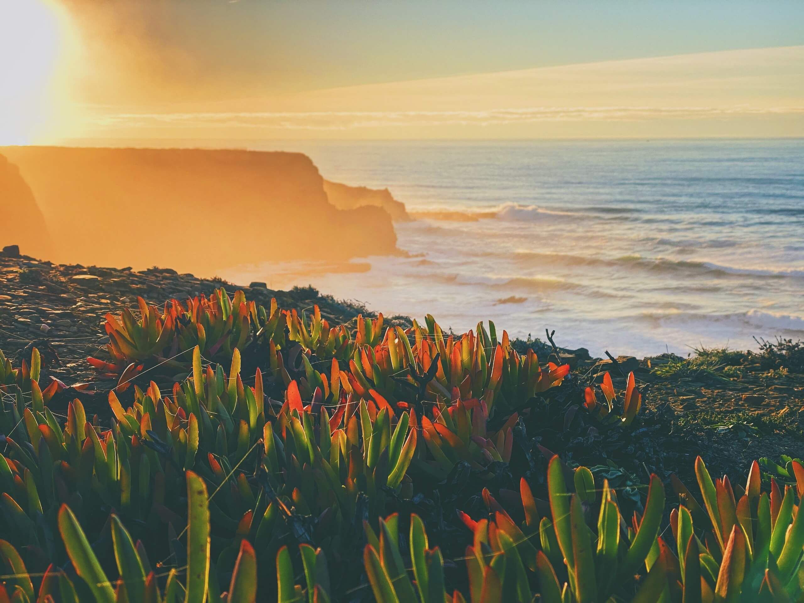 The 5 Best Places to Travel in December - PureWow Best places to travel in december