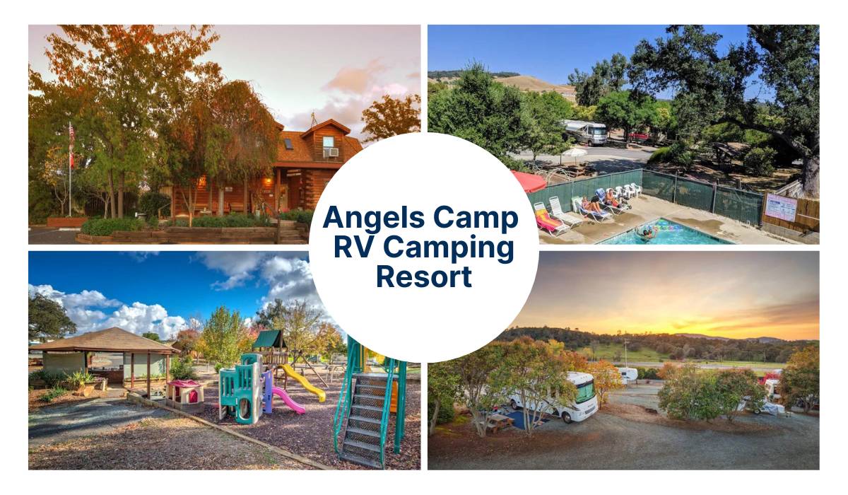 Best Campgrounds in Northern California