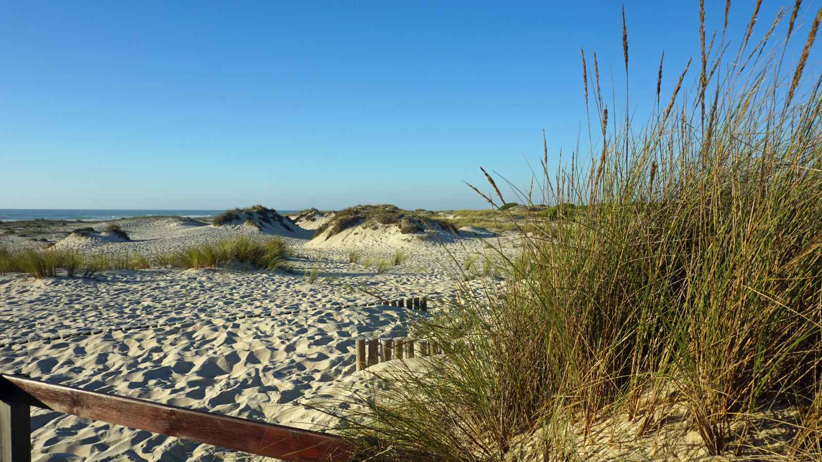 Best beaches in portugal