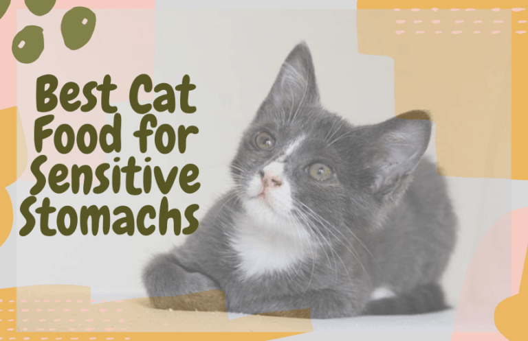 Best Cat Food For Cats With Sensitive Stomachs