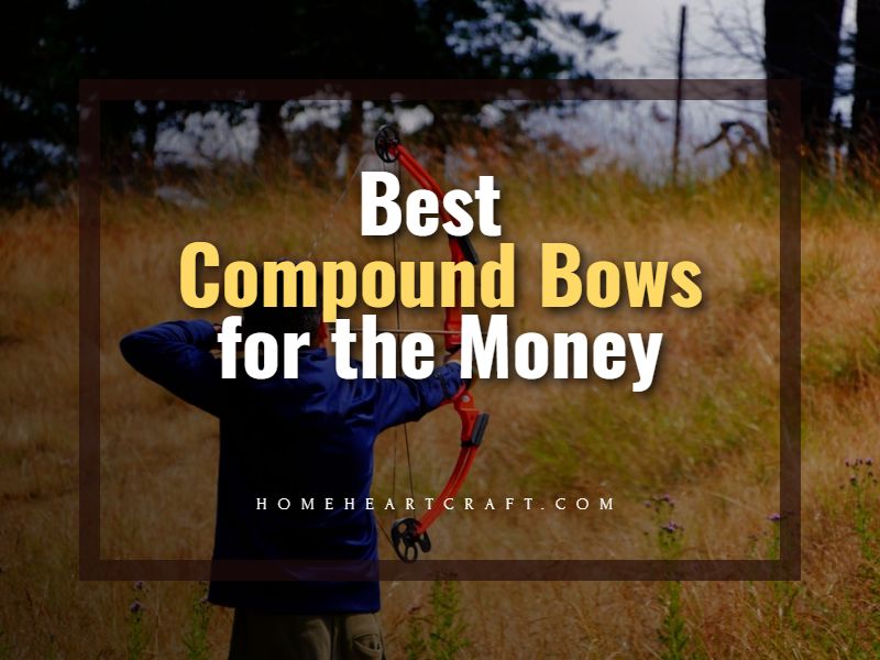 Best Compound Bow for the Money