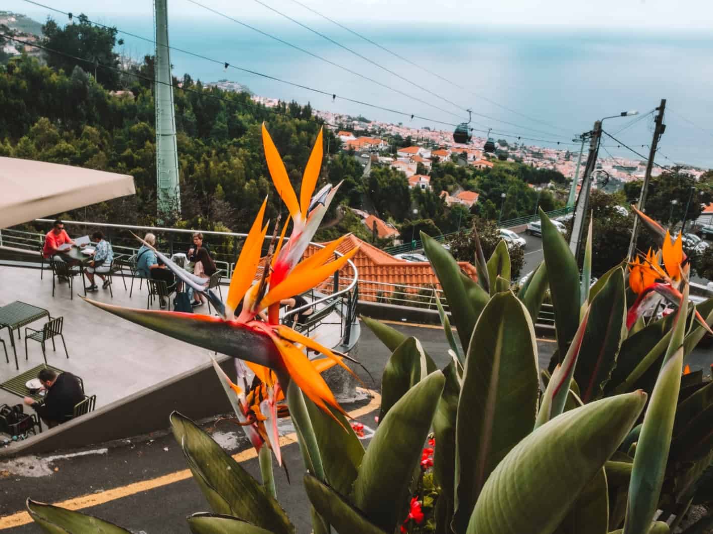 When is the best time to visit Madeira, Portugal? Best time to visit madeira portugal