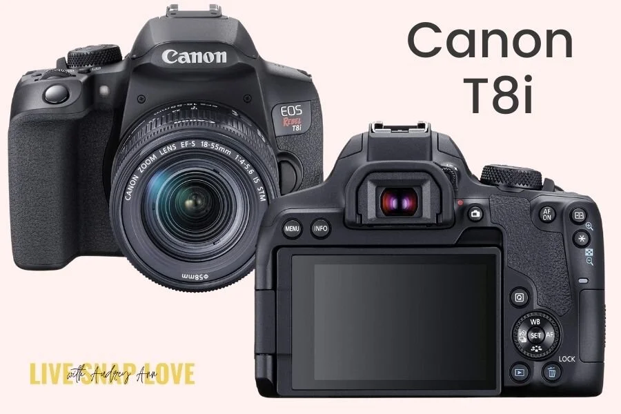 Best Camera for Photography Beginners! Best camera for beginners