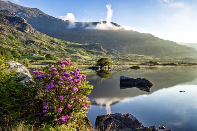 The Best Time to Visit Ireland? Not When You Think! The Best Time to Visit Ireland? Not When You Think!