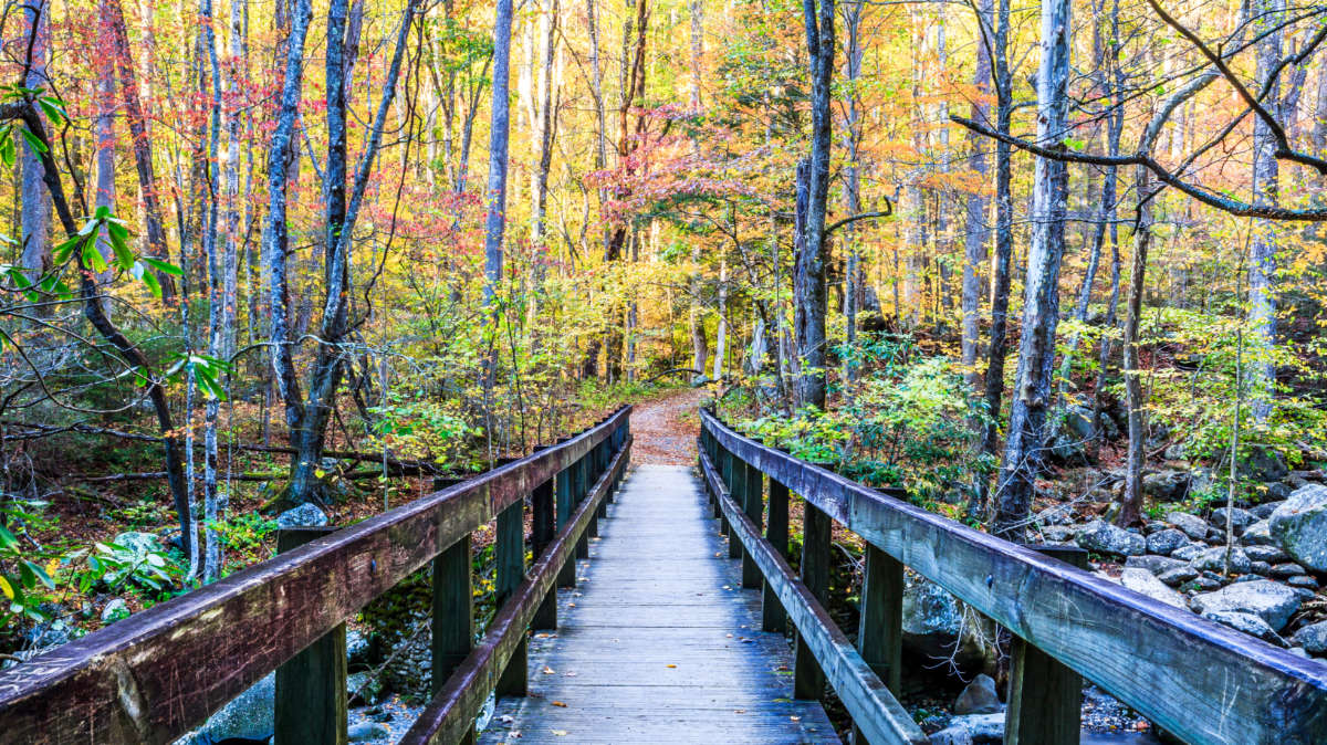 The Best Time of Year to Visit Tennessee (By a Local) The Best Time of Year to Visit Tennessee (By a Local)