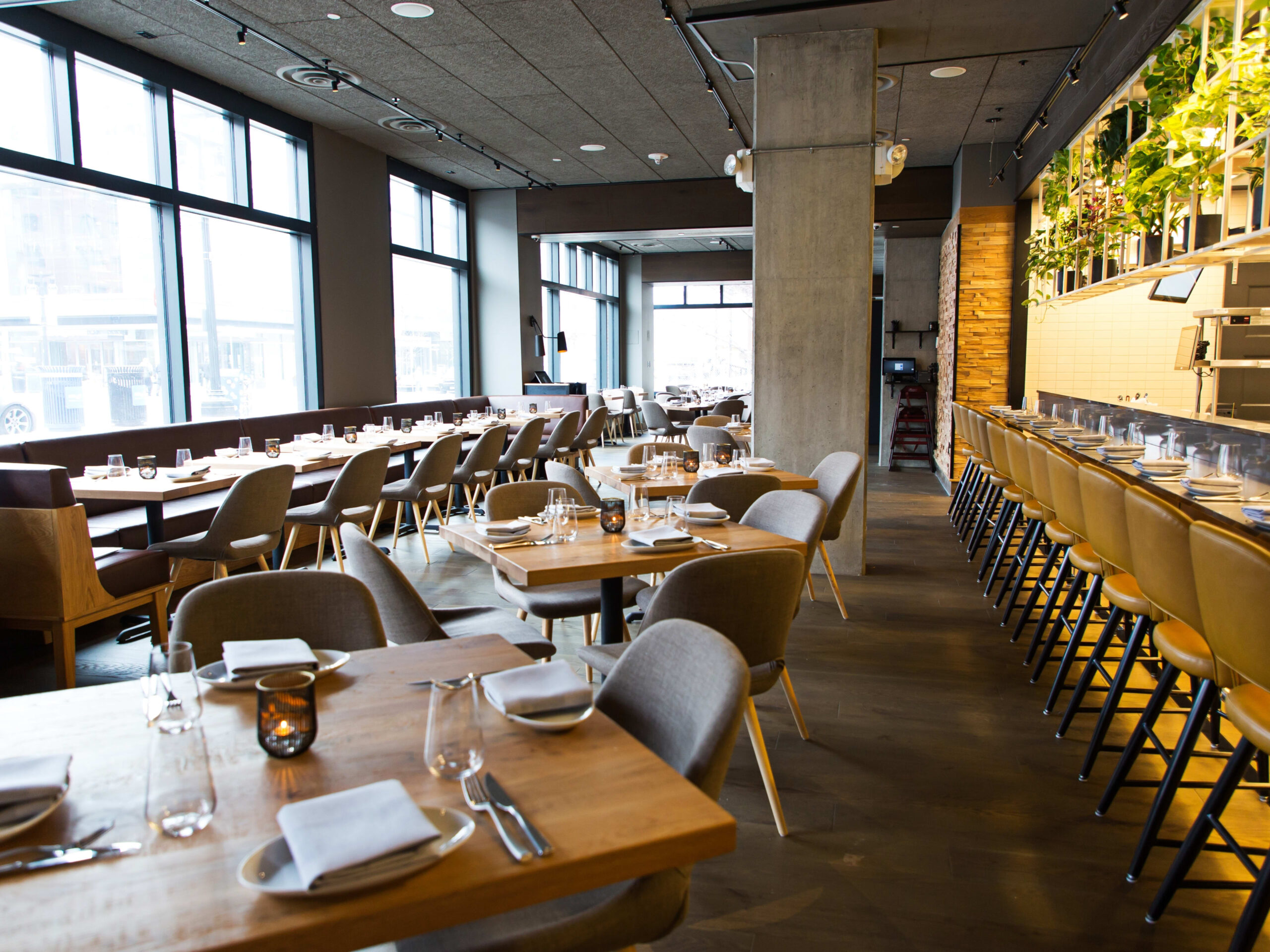 Best Brunch Washington DC Experiences
