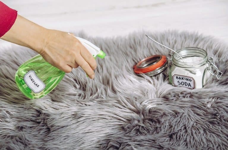 Best carpet cleaner for cat urine that actually removes cat urine smell from carpet
