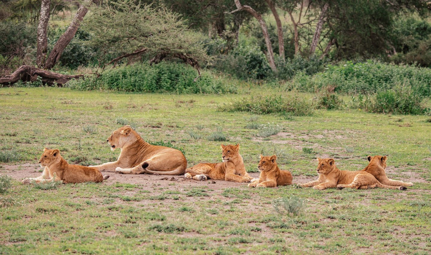 Best Month to Visit Tanzania