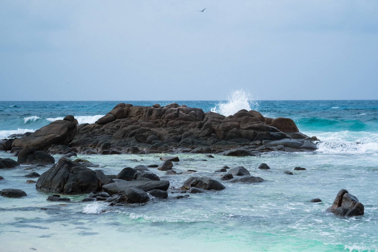 The Best Time to Travel to the Seychelles • The Blonde Abroad The Best Time to Travel to the Seychelles • The Blonde Abroad