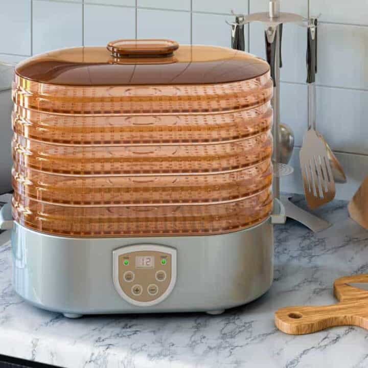 Best Food Dehydrator for Jerky