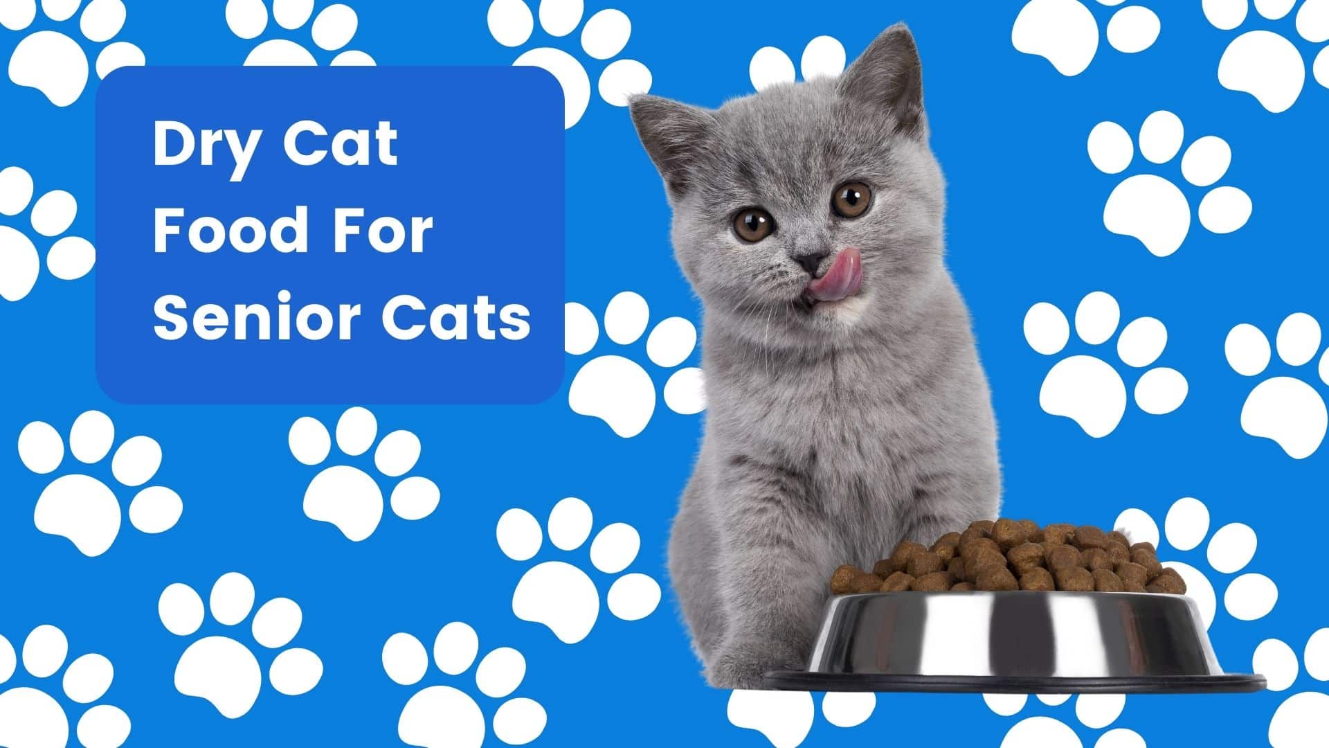 Best Dry Cat Food for Older Cats – Nourishment for Golden Years