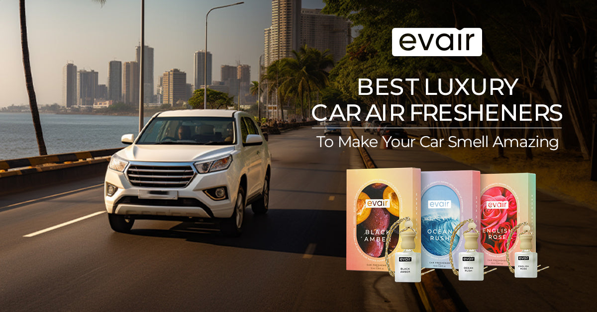 Best Luxury Car Air Freshener Perfumes for a Fresh Ride