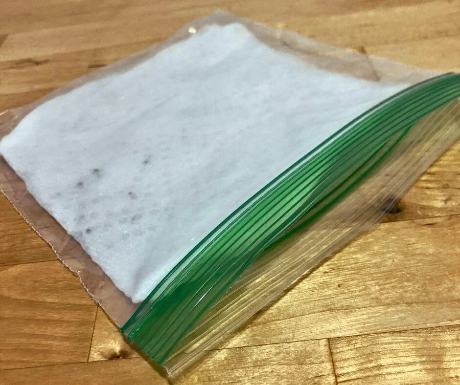 Best way to germinate seeds