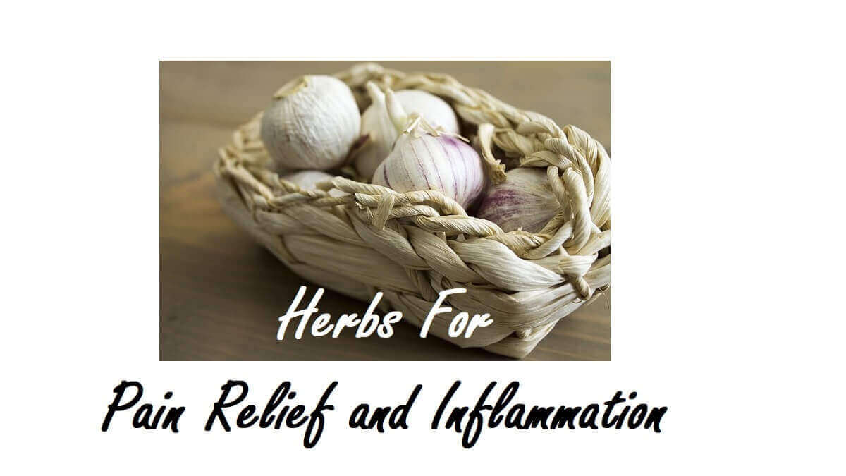 Best Edibles for Pain and Inflammation