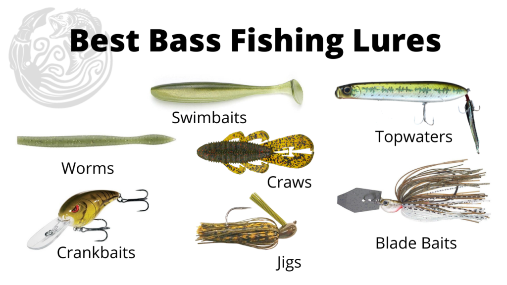 Best Lure for Fishing