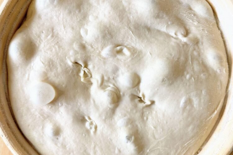 Best Flour for Sourdough Bread Types and Characteristics