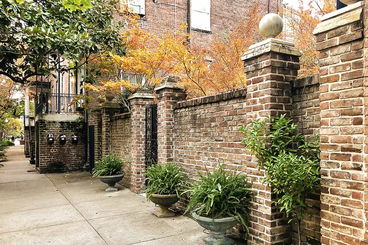 Best time to go to savannah