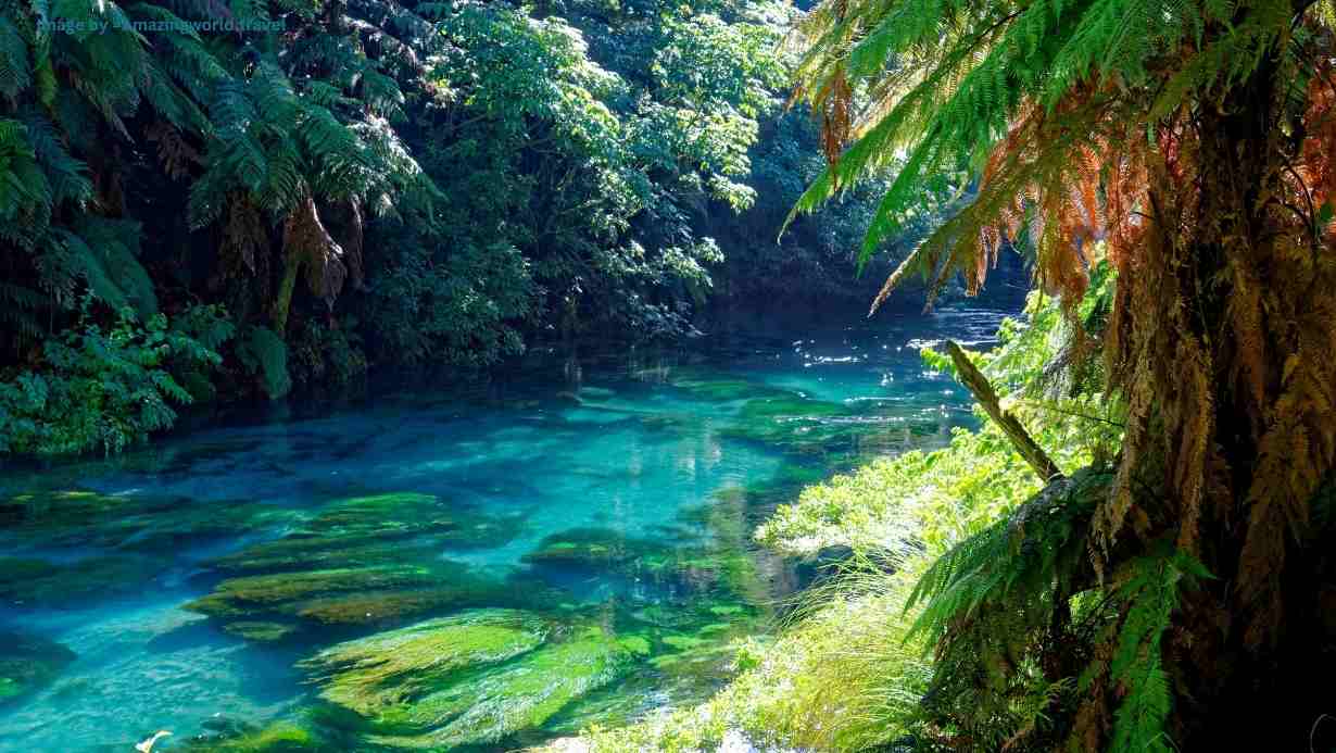 Best time to visit new zealand