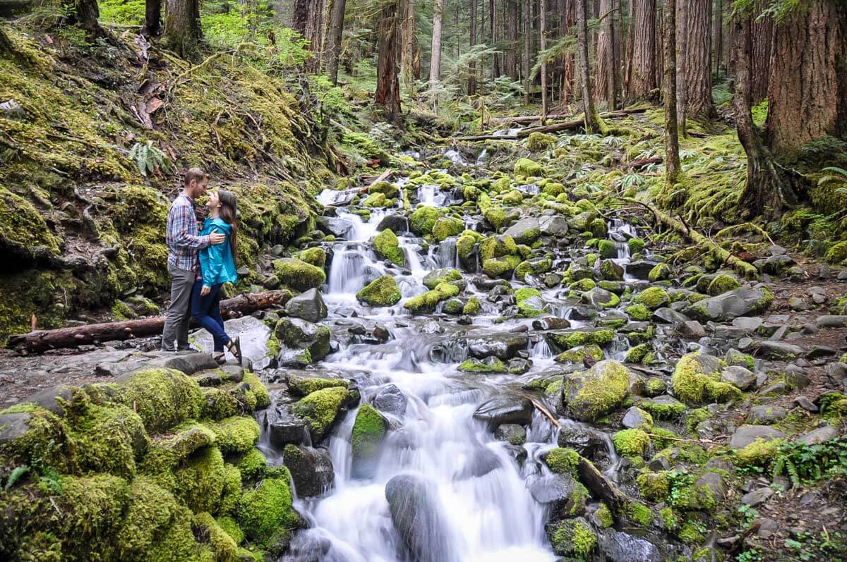 Best Olympic National Park Hikes