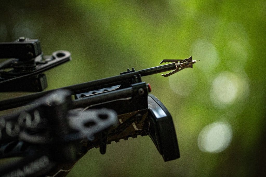 Best Broadheads for Crossbow Comparison Guide