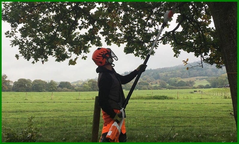Best electric pole saw for gardening and landscaping needs