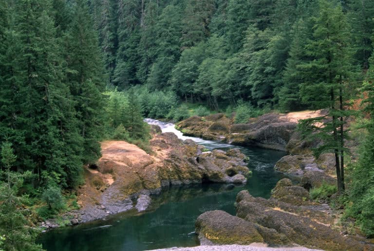 Best Hikes Near Portland Explained In a Few Words