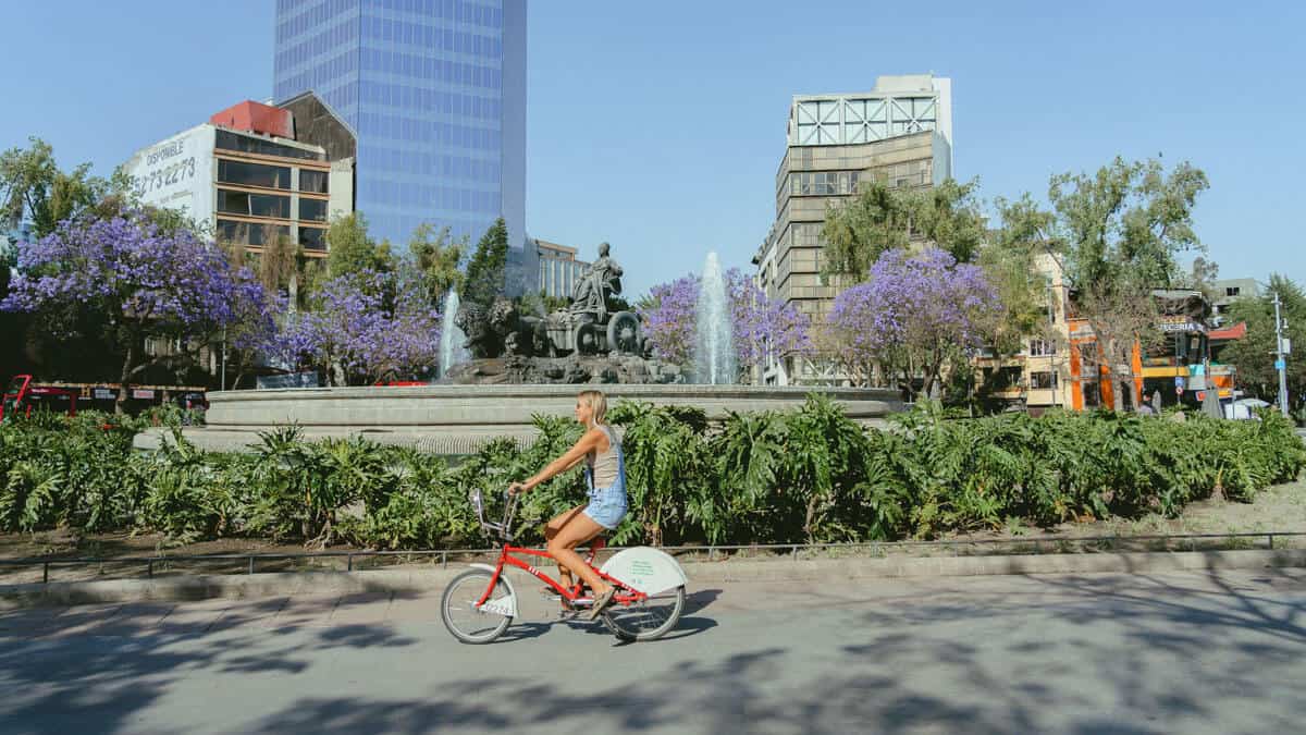Best Hotels in Roma Norte Mexico City Offers Unique Experiences