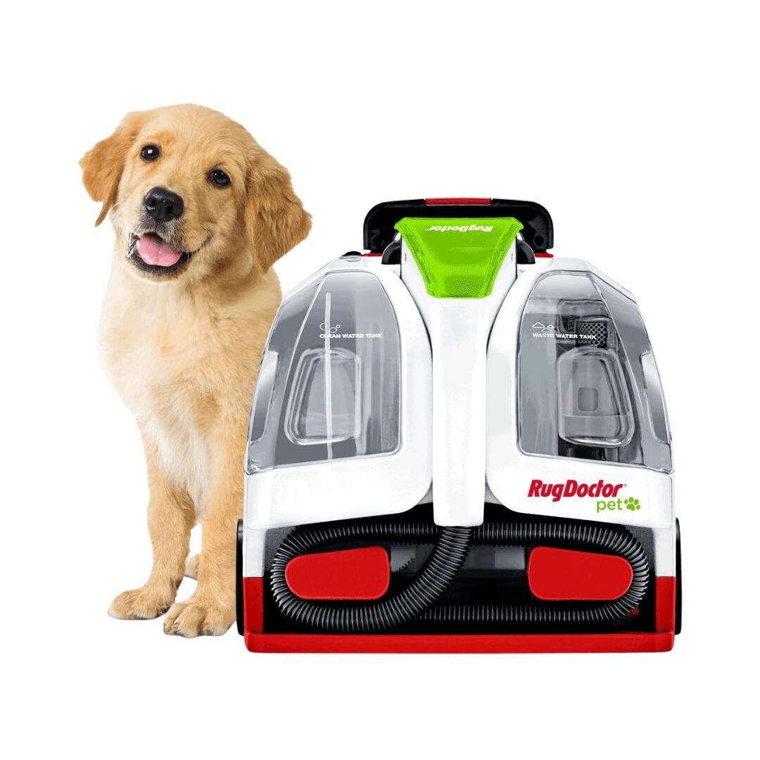 Portable Cleaner Machine, Carpet Couch Furniture Deep Cleaner, Handheld ... Best portable rug cleaner