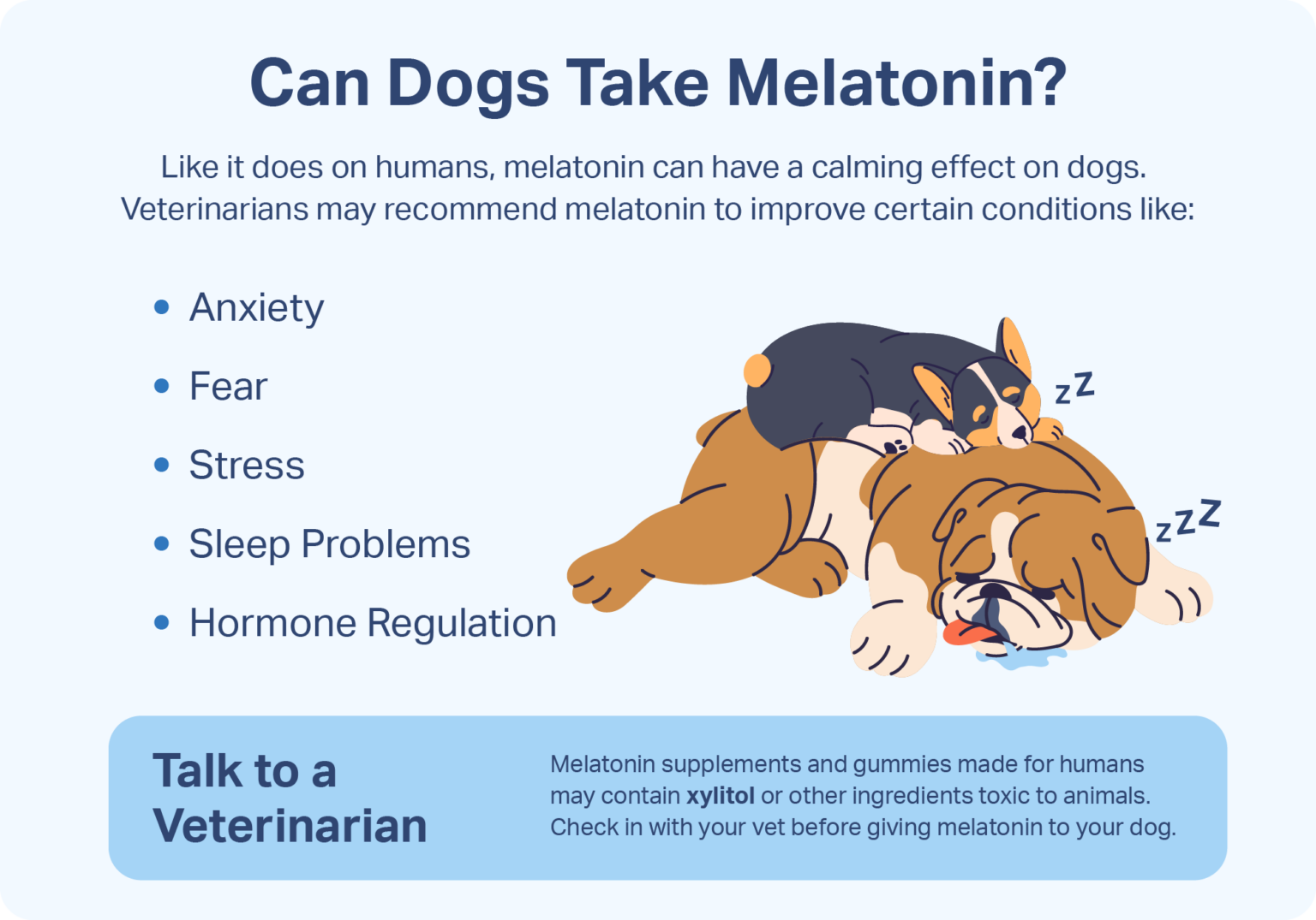 Best Melatonin for Dogs – Choosing the Right Supplement