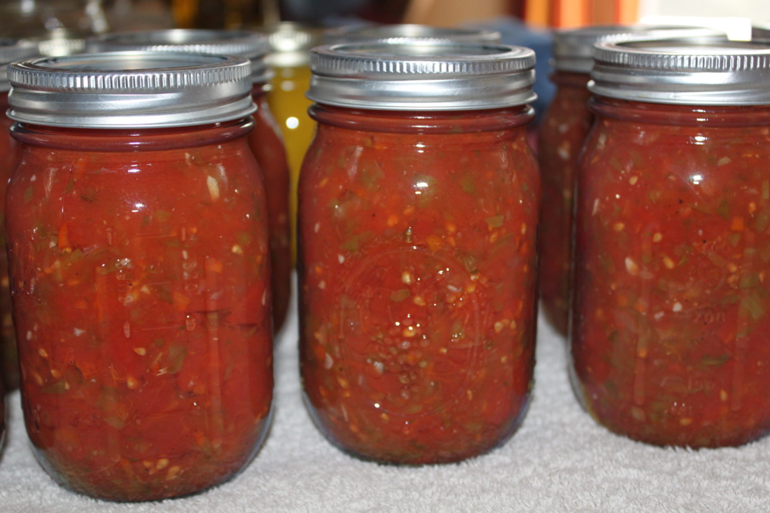 Best Canning Recipe for Salsa