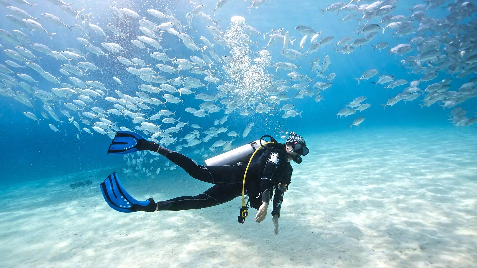 10 Best Places To Scuba Dive For Your World Travel Bucket List | Scuba ... 10 Best Places To Scuba Dive For Your World Travel Bucket List | Scuba ...