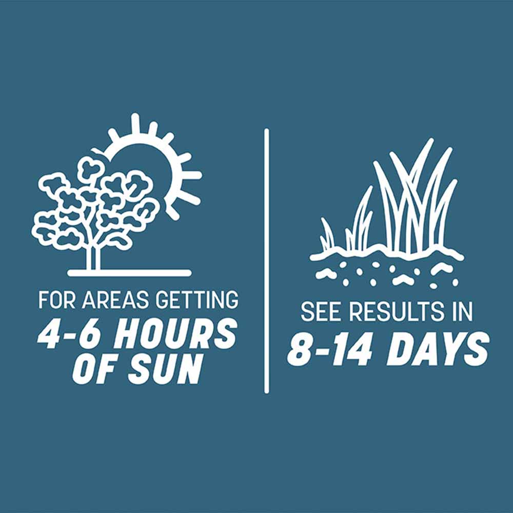 Best grass seed for ohio