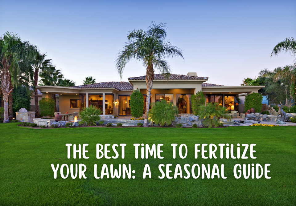 The Best Time to Fertilize Your Lawn: A Seasonal Guide Best time to fertilize grass