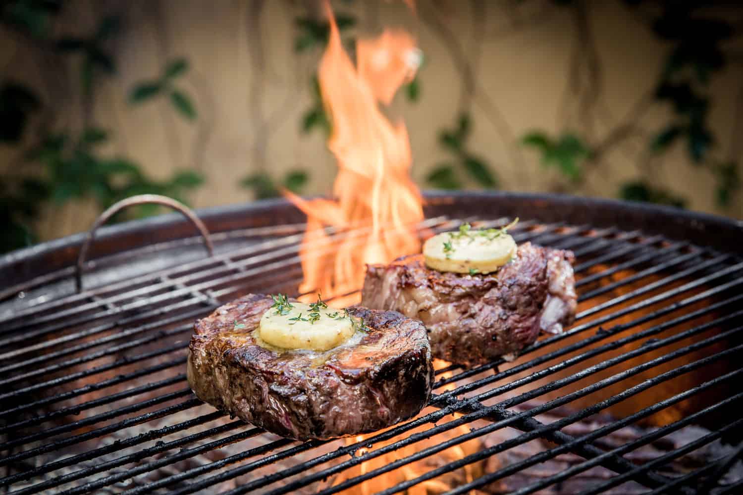 Best Oil To Cook Steak