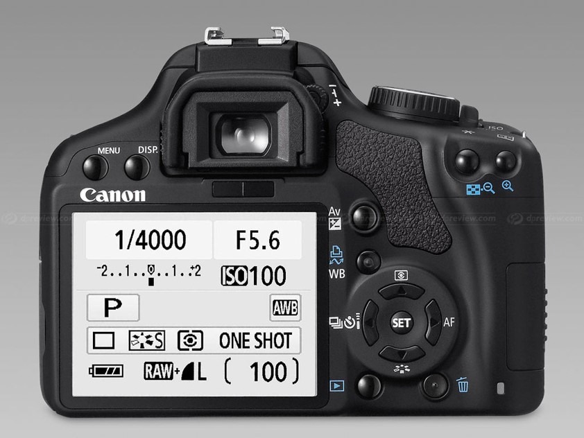 Best DSLR Cameras for Beginners