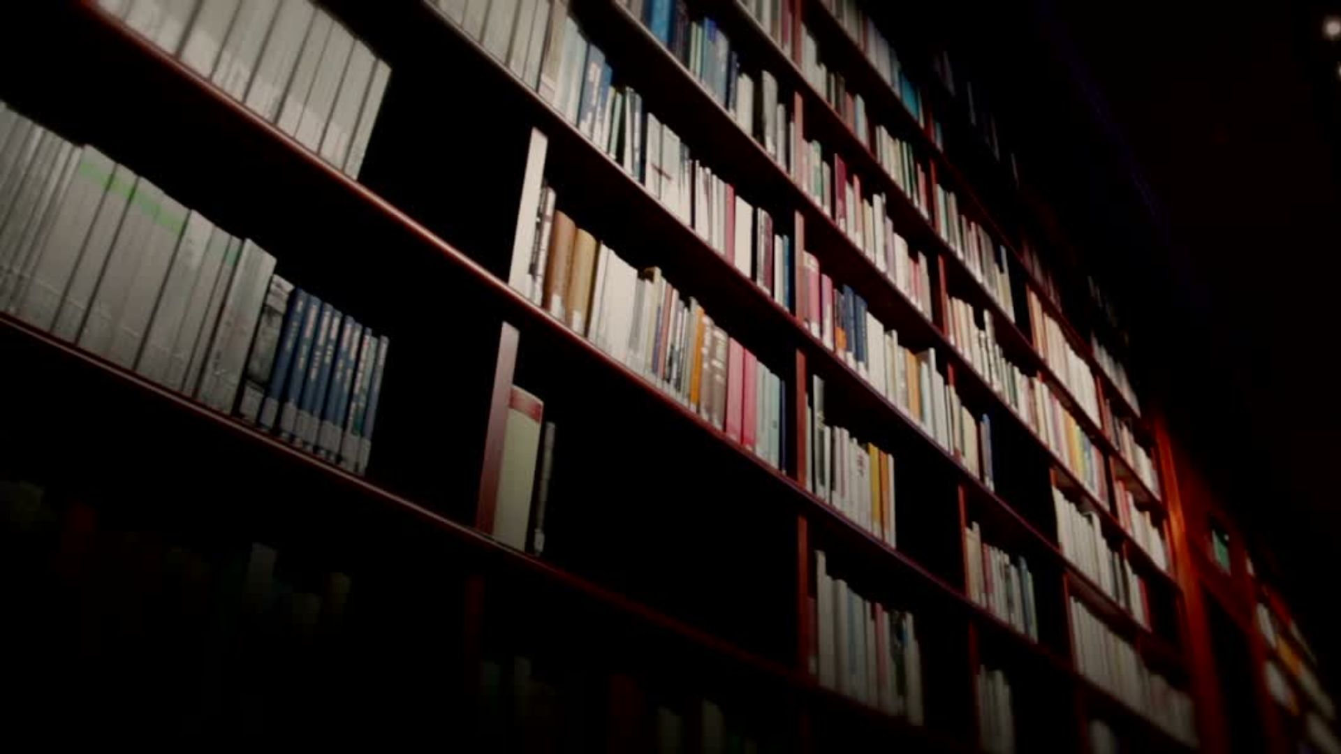 Best Book to Read as CEO 2025 – Essential Reads for Leaders