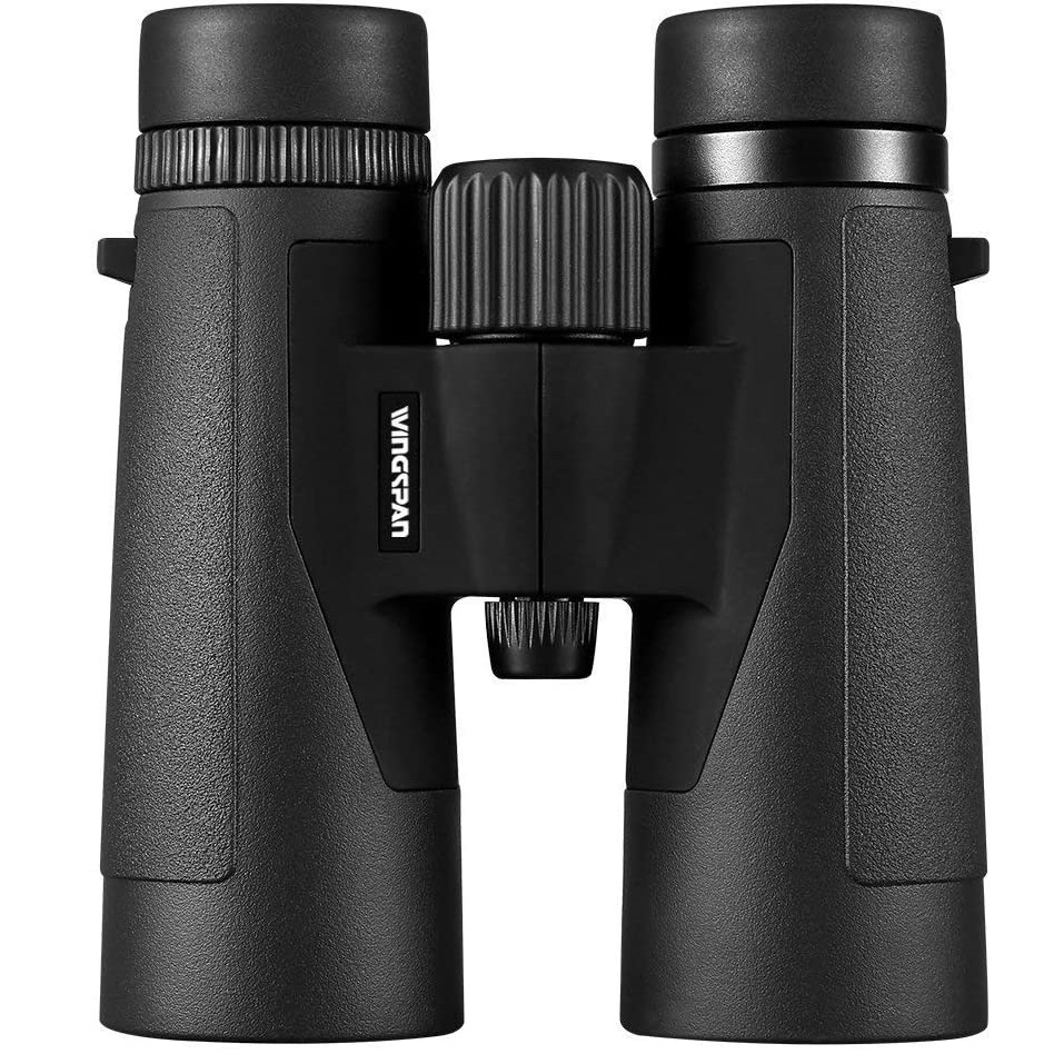 Best Compact Binoculars for Travel