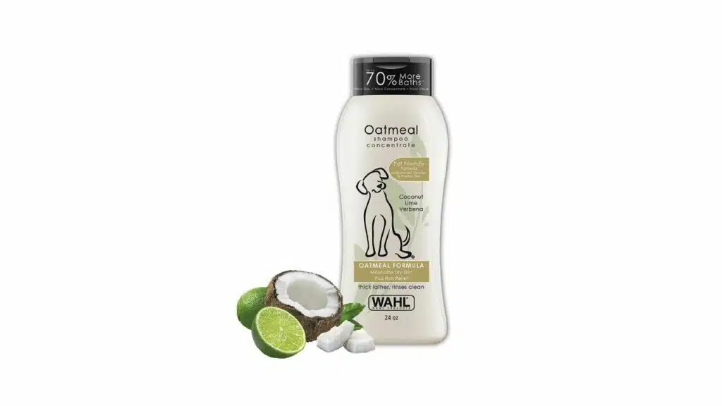 Best Dog Shampoo for Itchy Skin | Pet Living | Best dog shampoo, Itchy ... Best Dog Shampoo for Itchy Skin | Pet Living | Best dog shampoo, Itchy ...