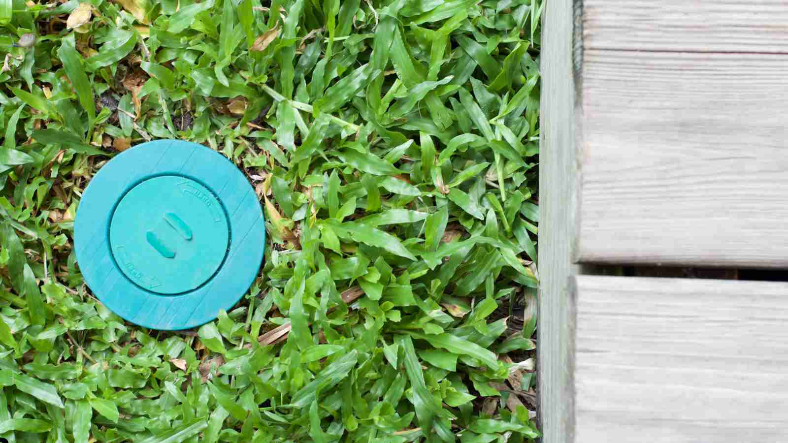 The Best Termite Bait Stations - Do They Work? Best termite bait stations